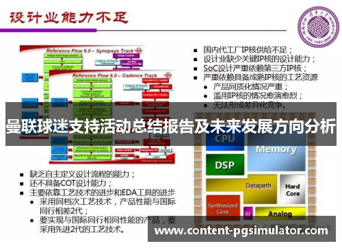 曼联球迷支持活动总结报告及未来发展方向分析