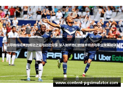 法甲锋线精英的成功之道与经验分享 深入剖析他们的技术特点与职业发展秘诀