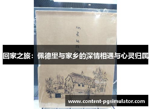 回家之旅：佩德里与家乡的深情相遇与心灵归属