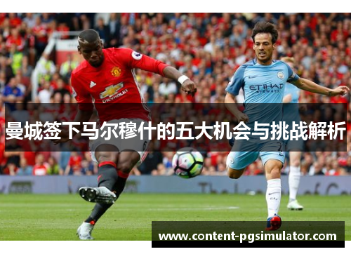 曼城签下马尔穆什的五大机会与挑战解析