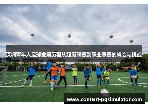 深圳青年人足球发展历程从超级联赛到职业联赛的蜕变与挑战