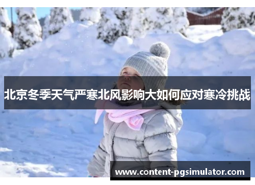 北京冬季天气严寒北风影响大如何应对寒冷挑战