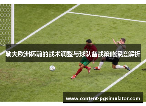 勒夫欧洲杯前的战术调整与球队备战策略深度解析