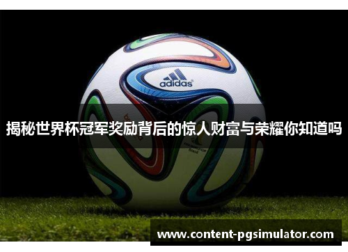 揭秘世界杯冠军奖励背后的惊人财富与荣耀你知道吗