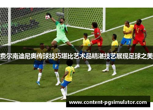 费尔南迪尼奥传球技巧堪比艺术品精湛技艺展现足球之美