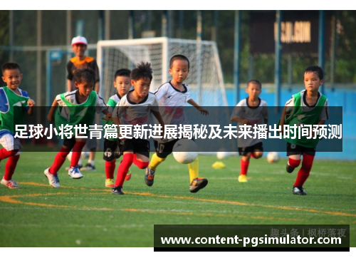 足球小将世青篇更新进展揭秘及未来播出时间预测