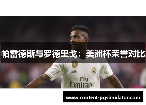 帕雷德斯与罗德里戈：美洲杯荣誉对比