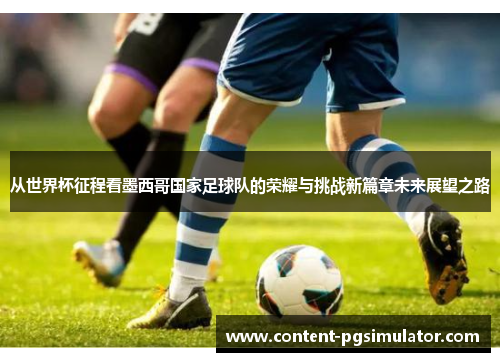 从世界杯征程看墨西哥国家足球队的荣耀与挑战新篇章未来展望之路